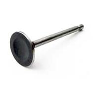 Intake valves