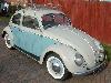 the59bug