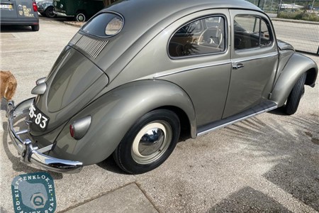 Volkswagen Oval window 
