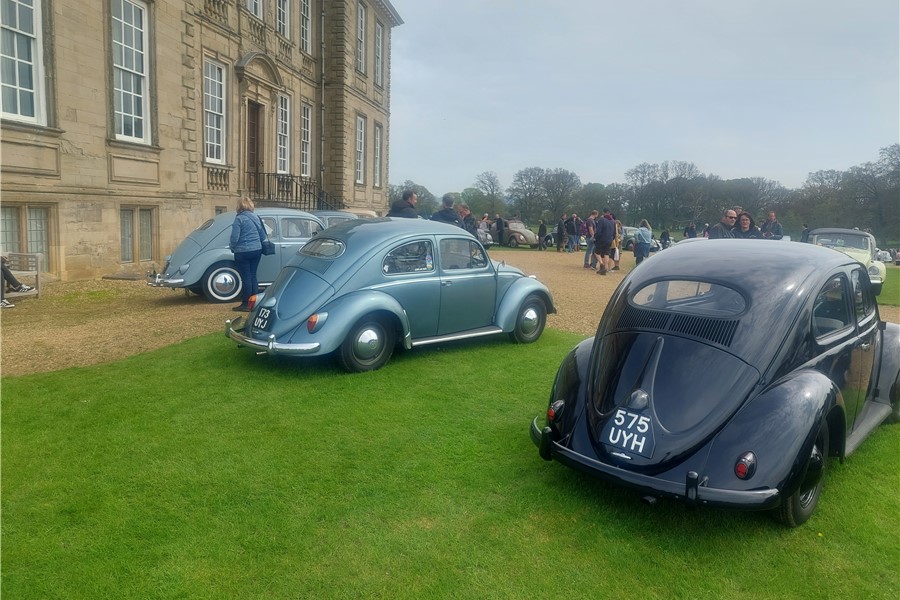 1954 - 1954 Standard Beetle 