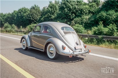 100_2733.jpg