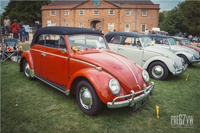 IMG_3474.jpg