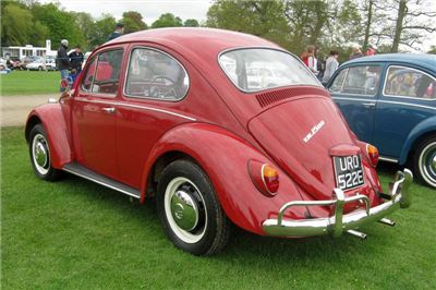 IMG_3447.JPG