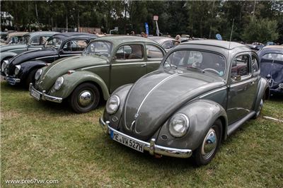 Oval Beetles at Bad Camberg 2015 - IMG_4167.jpg