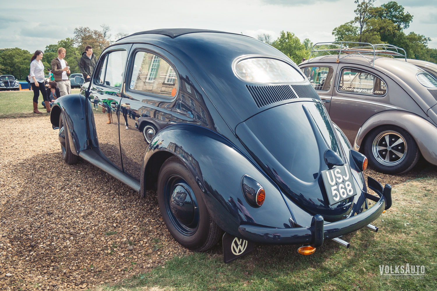 Oval Standard Beetle at Stanford Hall 07
