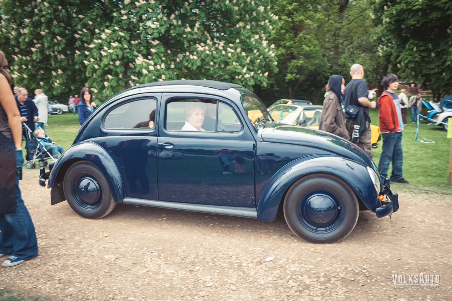 Standard Oval Beetle at Stanford Hall 07