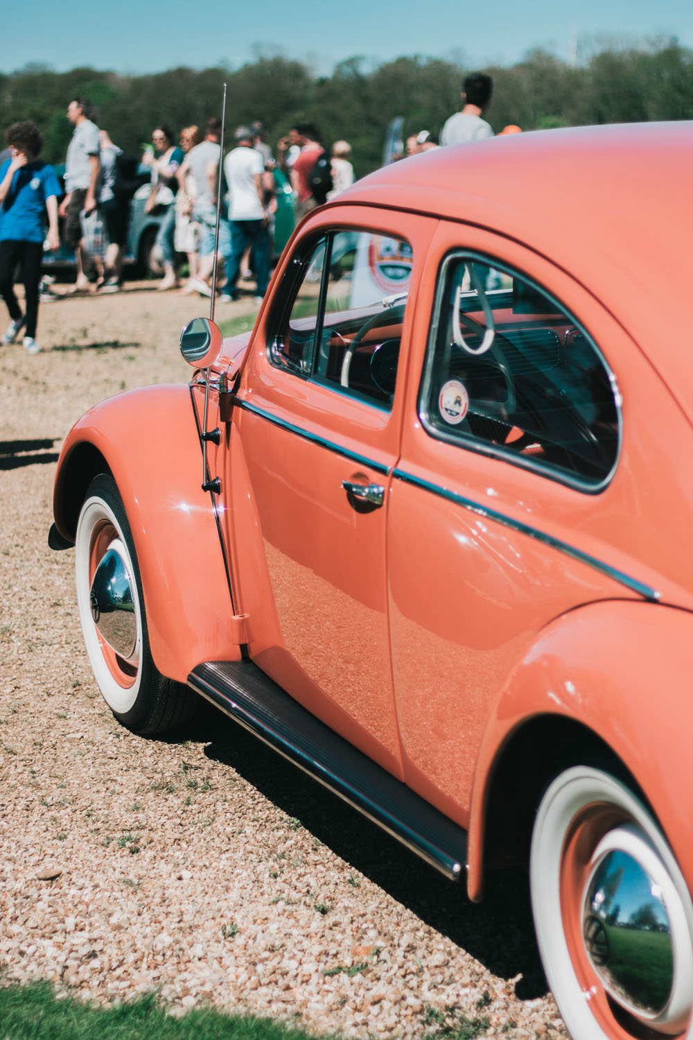 Oval Beetle at Stanford Hall 2018