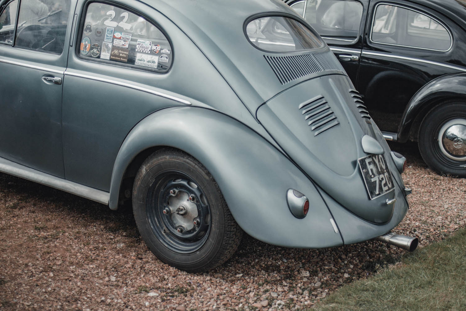 Oval Window Beetle at Stanford Hall 2019